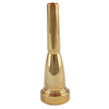 CTM02S Bullet Trumpet Mouthpiece