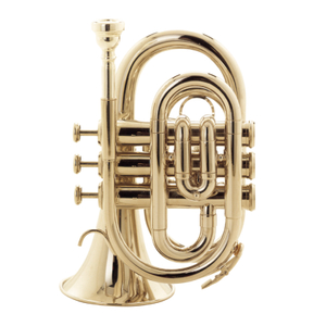 C5100N Pocket Trumpet N/P