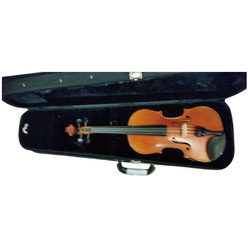 VLS90WT "T" Style Wood Shell Violin Case