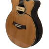 CTSH01 Folk Guitar Pickup