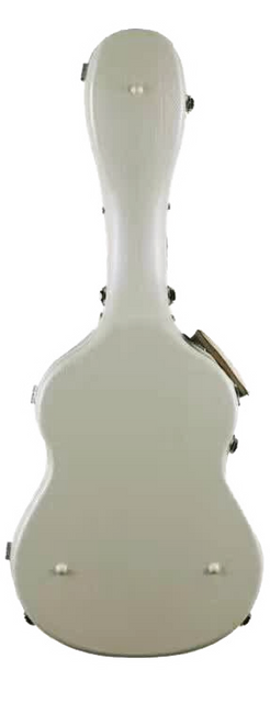 GCA39 ABS GUITAR CASE