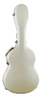 GCA39 ABS GUITAR CASE