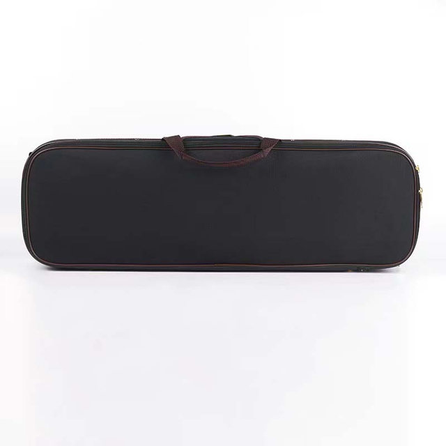 CCV95BKBN Professional Oblong Shape Lighweight Violin Hard Case