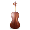 Laminated maple Solid wood, Cello with boxwood fittings (CC6014)