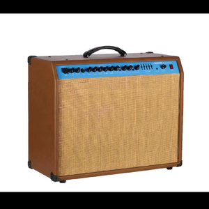 WA-60 Acoustic Amp.
