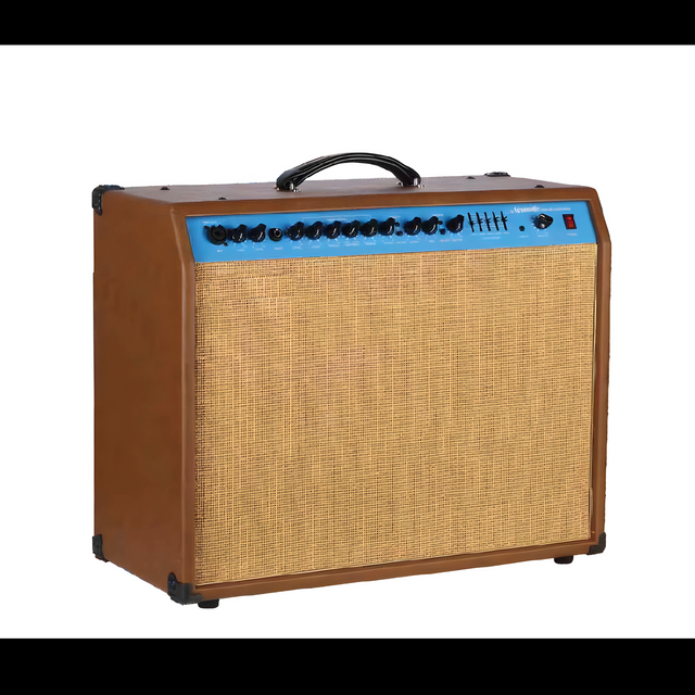 WA-60 Acoustic Amp.