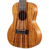 CH110C Tuning Ukulele