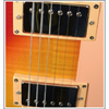 CFC9880 ELECTRIC GUITAR 