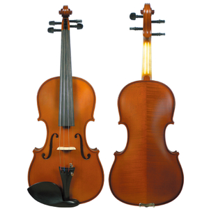 European Material Nature Dried Tonewood Violin (CV100)