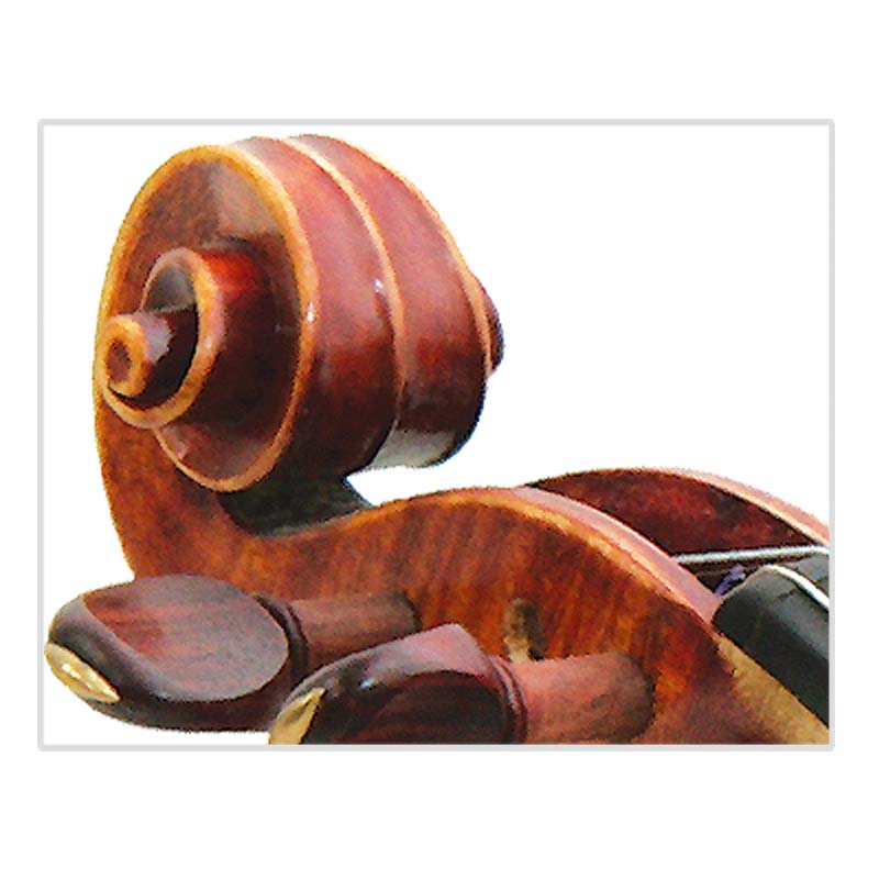 Fully Handmade by Master Super Sound Violin (CV260)