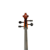 Laminated maple Solid wood, Cello with ebony fittings (CC6015)