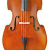 Laminated spruce top; Laminated linden back & sides Bass (CB6071)