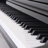 B-81 88 KEYS DIGITAL PIANO
