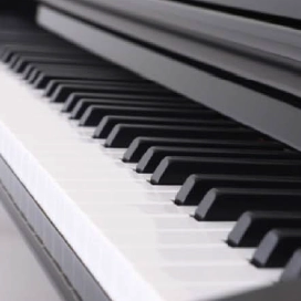 B-81 88 KEYS DIGITAL PIANO
