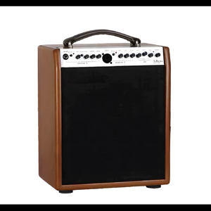 ATHENA Acoustic Amp.