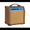 WA-15 Acoustic Amp.