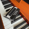 Accordion wood