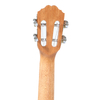 CTP23 Ebony Grape Sound Hole