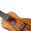 CH110C Tuning Ukulele