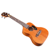CH1C WITH TUNING UKULELE