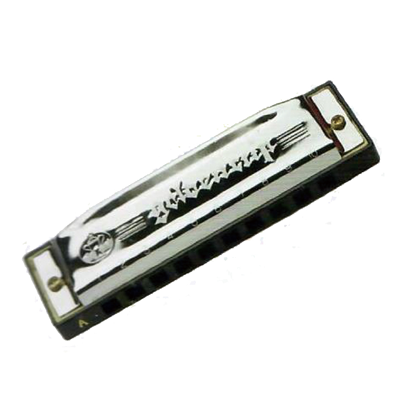 JH1020 10 HOLE HARMONICA