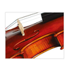 Hand-carved Full Flamed European Tone wood Professional Violin (CV240A)