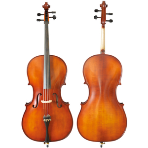 Laminated maple Solid wood, Cello with ebony fittings (CC6015)
