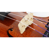 One-Piece Flame European Maple Back Violin CV1418OP