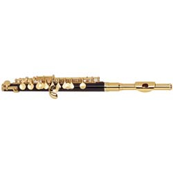 C1108G ABS Piccolo C