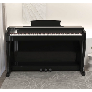 B-81 88 KEYS DIGITAL PIANO