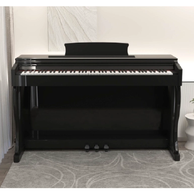 B-81 88 KEYS DIGITAL PIANO