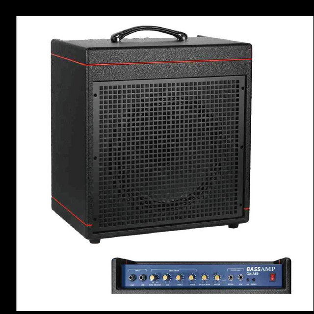 GAIA-60 Bass Amp.