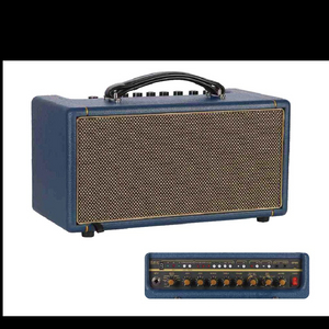 GP205 Digital Amp.