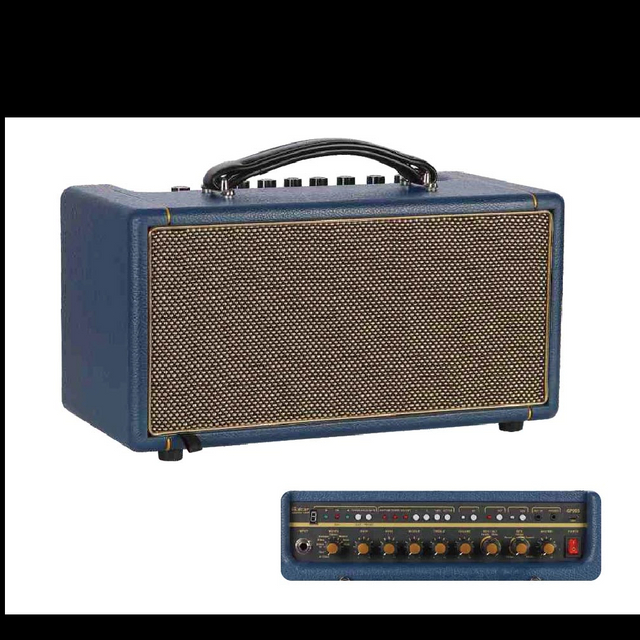GP205 Digital Amp.