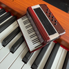 Accordion wood