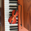 Cello wood
