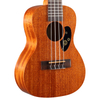 CH1C WITH TUNING UKULELE