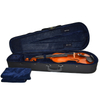 Highly Flamed European Wood Viola CV1017