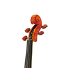 CV1422P Hellier Model Craft Violin