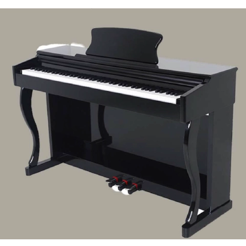 B-81 88 KEYS DIGITAL PIANO