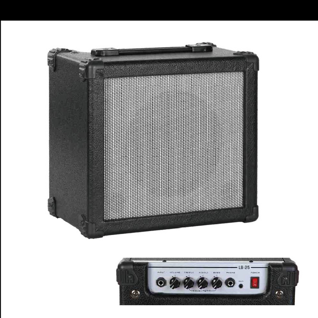 BL-25 Bass Amp.