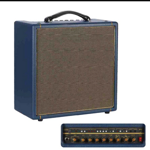 GP10 Digital Amp.