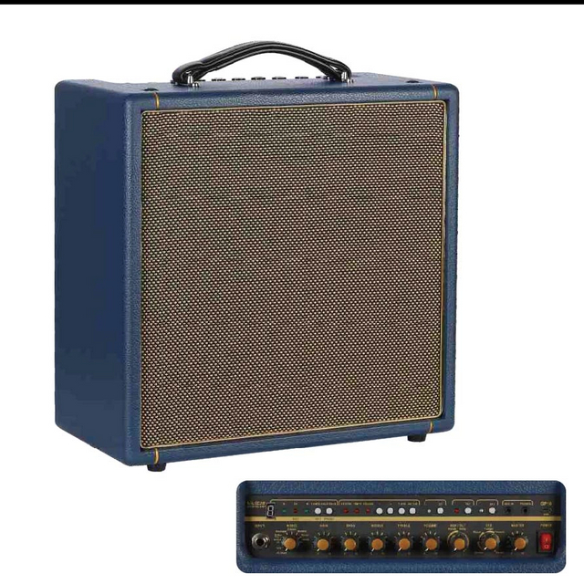 GP10 Digital Amp.