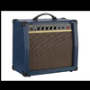 GA-30 Guitar Amp.
