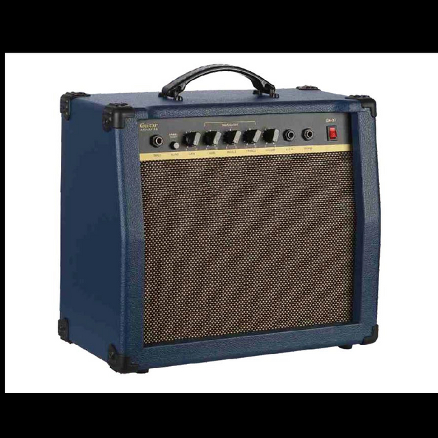 GA-30 Guitar Amp.