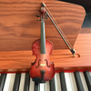 Violin wood