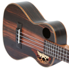 CTP23 Ebony Grape Sound Hole