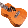 CH1C WITH TUNING UKULELE