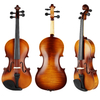 Laminated Flamed Maple Back Student Violin (CV1410AF)