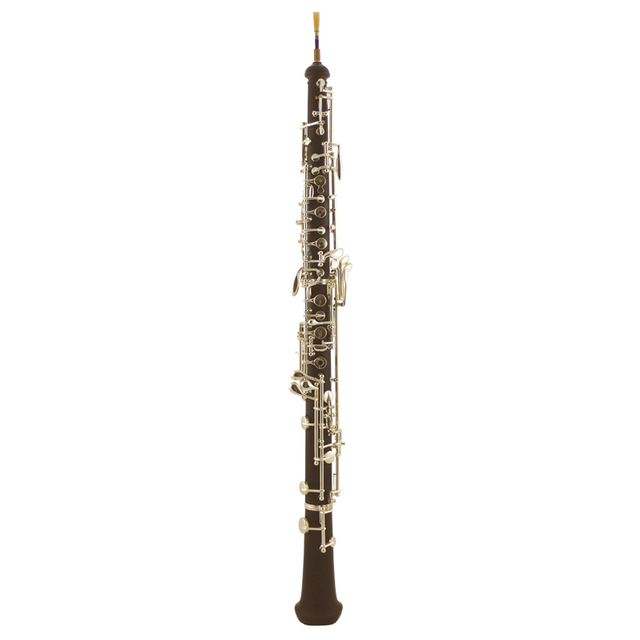 C1102P Environmeutal ABS Body oboe of 